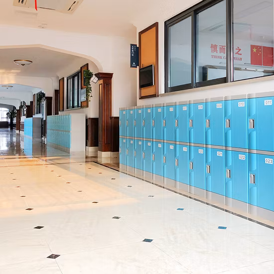 Casilleros de plástico de almacenamiento ABS de fábrica de China