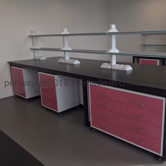 Laboratorio móvil del gabinete del banco de laboratorio de acero pintado completo