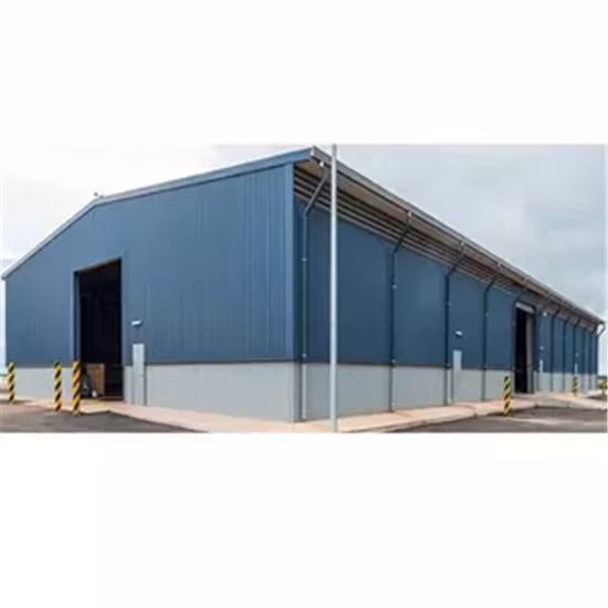 Vertiente seca del carbón del marco de edificio prefabricado de la estructura de acero del palmo grande