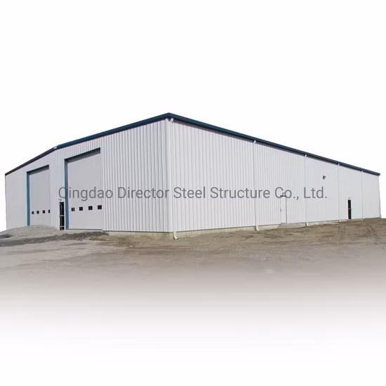 Cobertizo de almacenamiento de herramientas de estructura de acero a prueba de corrosión de China de buena calidad